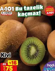 KİVİ KG KİVİ KG